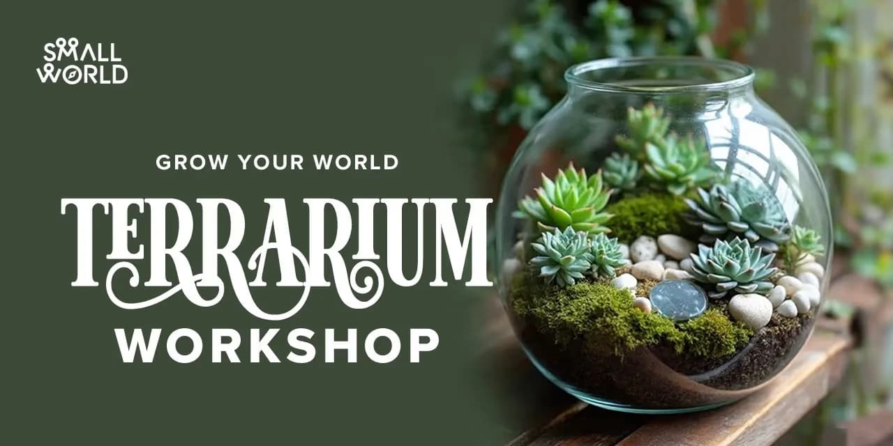 DIY Terrarium Workshop | Slide 1